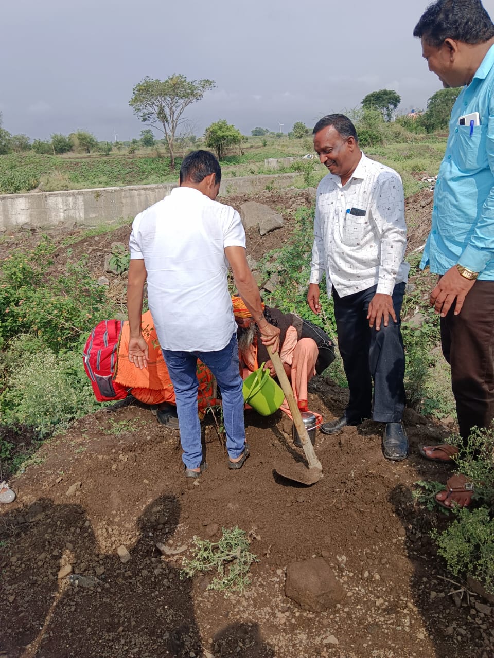 वृक्षारोपण प्रक्रिया